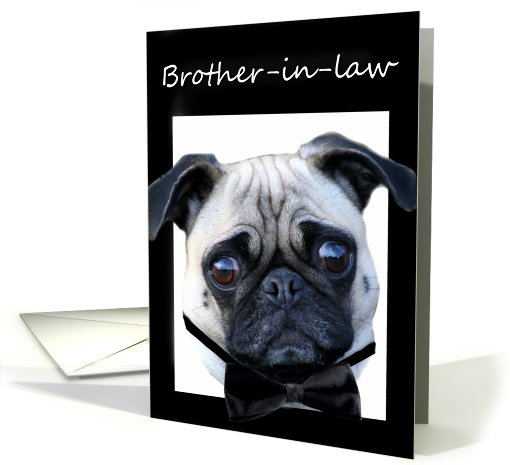 Brother-in-law Thank You Pug card (561733)