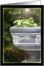Happy Mother’s Day Mom Strawberry Plant card