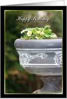 Happy Birthday Strawberry plant card