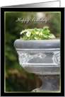 Happy Birthday Strawberry plant card