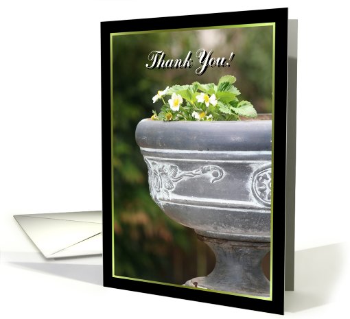 Thank You Strawberry plant card (717405)