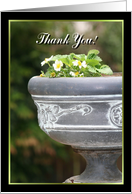 Thank You Strawberry plant card