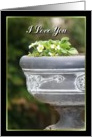 I Love You Strawberry plant card