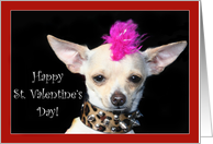 Happy St. Valentine’s Day Punk Chihuahua dog card