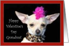 Happy Valentine’s Day Grandma Punk Chihuahua dog card