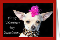 Happy Valentine’s Day Sweetheart Punk Chihuahua dog card