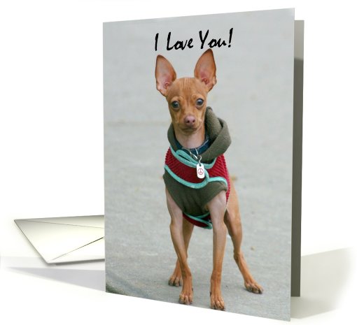 I Love You Chihuahua card (819253)