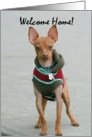 Welcome Home Chihuahua card