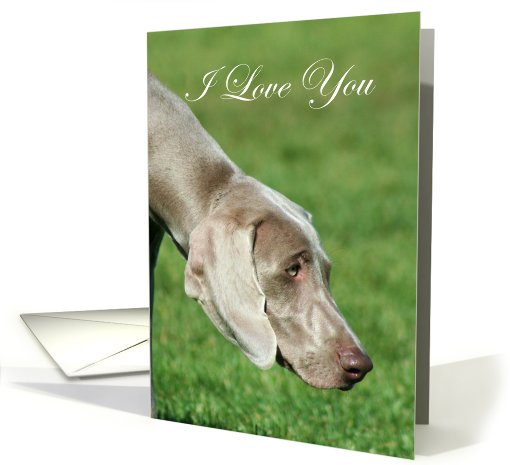I Love You Weimaraner Dog card (820860)