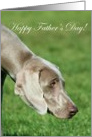 Happy Father’s Day Weimaraner Dog card