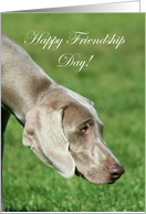 Happy Friendship Day Weimaraner Dog card