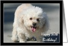 Happy 80th Birthday Bichon Frise dog card