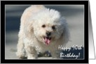 Happy 90th Birthday Bichon Frise dog card