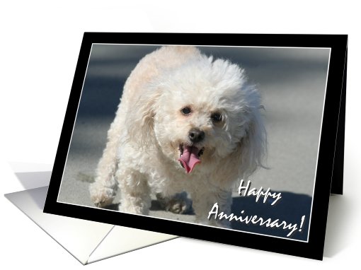 Happy Anniversary Bichon Frise dog card (825640)