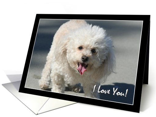 I Love you Bichon Frise dog card (828384)