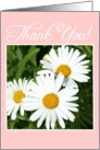 Thank You Daisy Flowers card