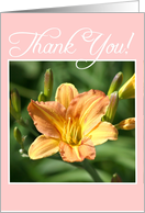 Thank You Daylily Flower card