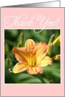 Thank You Daylily Flower card