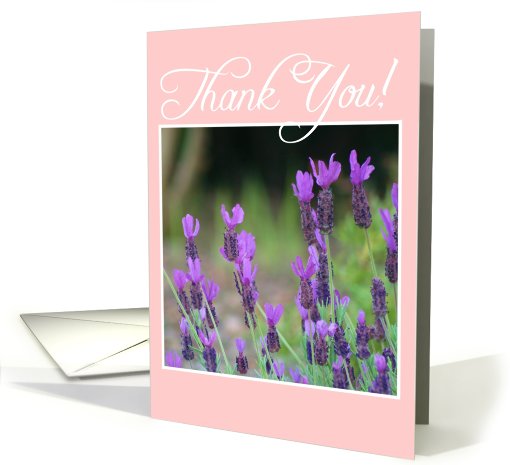 Thank You Lavender Flowers card (828431)