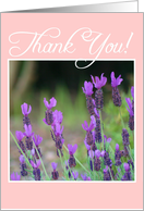 Thank You Lavender Flowers card