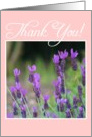 Thank You Lavender Flowers card