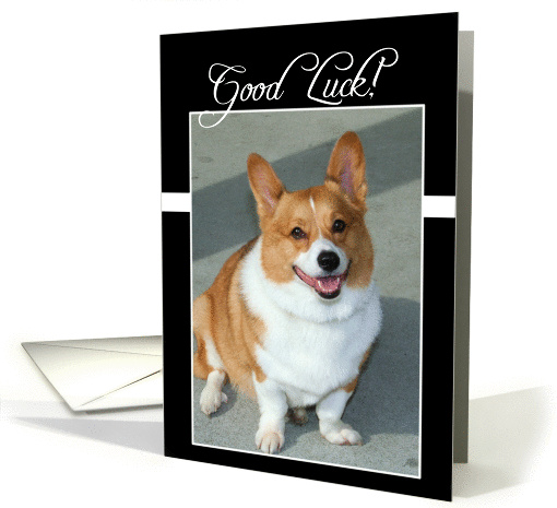 Good Luck Welsh Corgi dog card (834574)