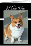 I Love You Welsh Corgi dog card