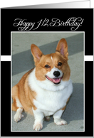Happy 1/2 Birthday Coach Welsh Corgi dog card