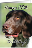 Happy 25th Birthday German Shorthaired pointer dog card