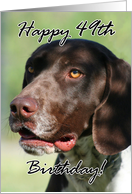 Happy 49th Birthday German Shorthaired pointer dog card