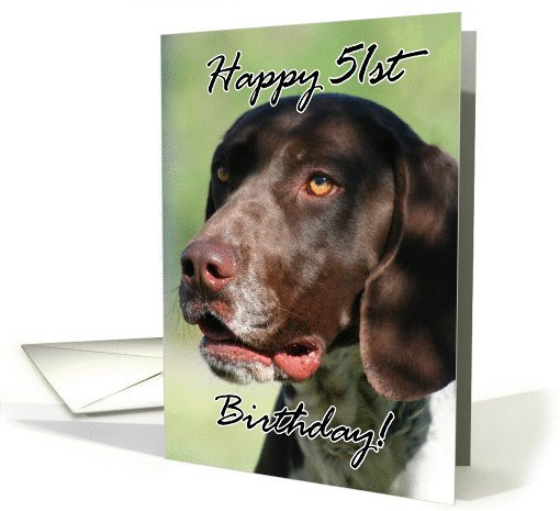 Happy 51st Birthday German Shorthaired pointer dog card (856124)