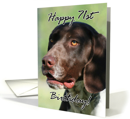 Happy 71st Birthday German Shorthaired pointer dog card (858433)