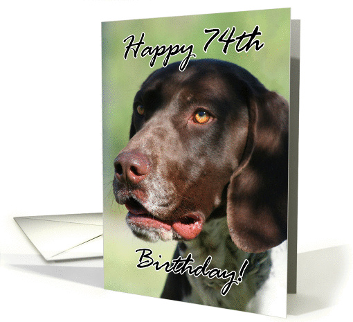 Happy 74th Birthday German Shorthaired pointer dog card (858441)