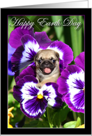 Happy Earth Day Pug...