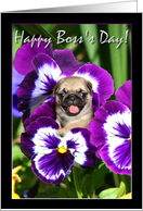 Happy Boss’s Day Pug puppy in Pansies card