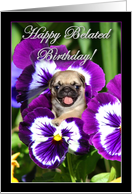 Happy Belated Birthday Pug puppy in Pansies card