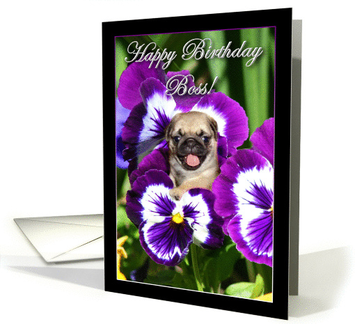 Happy Birthday Boss Pug puppy in Pansies card (863433)