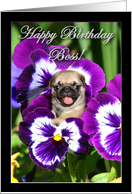 Happy Birthday Boss Pug puppy in Pansies card