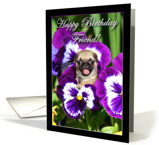 Happy Birthday Friend Pug puppy in Pansies card (863434)