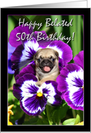 Happy Belated 50th birthday pug puppy card