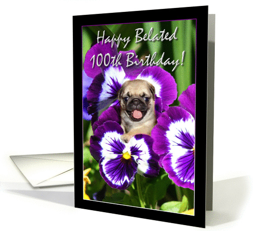 Happy Belated 100th birthday pug puppy card (868084)