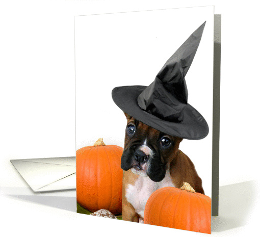 Halloween Boxer puppy with pumpkins card (868159)