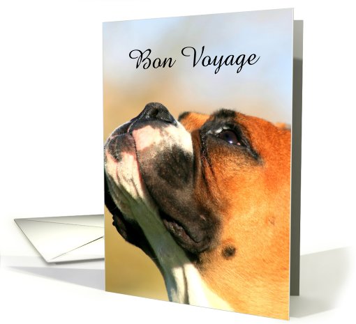 Bon Voyage Boxer Dog card (877869)