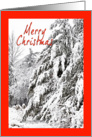 Happy Holidays - White Christmas card