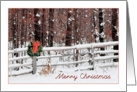Merry Christmas - Winter Forest card