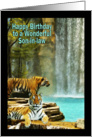 Birthday - Wonderful Son-in-Law (Tigers by Waterfall) card