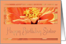 Sister on Birthday - Orange Zinnia card