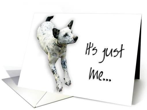 It's Just Me (Spotted Dog) card (315910)