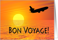 bon voyage what meaning in tamil