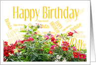 Birthday - General/Anyone card